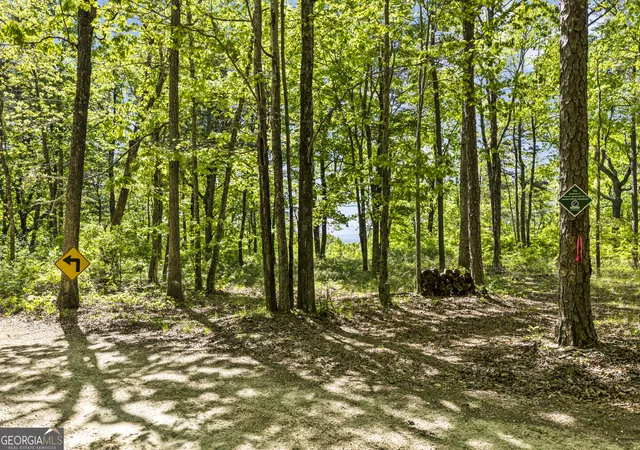 Homes for sale in Menlo, GA | 0 Neals Brow Rd, Menlo, GA 30731 | MLS# 10758019