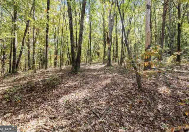 12th image of Lot 24 Luther Palmer Rd, Cleveland, GA 30528 | MLS# 10822381