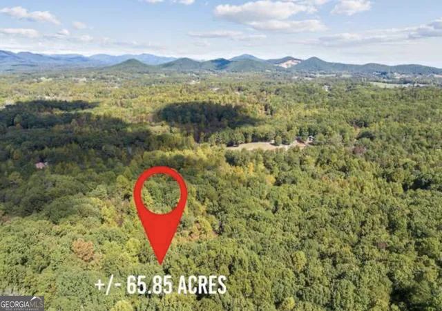 2nd image of Lot 24 Luther Palmer Rd, Cleveland, GA 30528 | MLS# 10822381