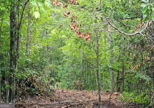 18th image of 0 Hwy 28, Clayton, GA 30525 | MLS# 10584723
