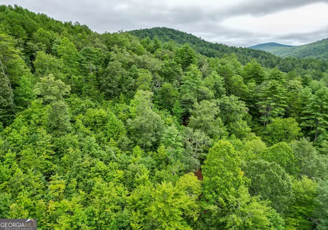 5th image of 0 Hwy 28, Clayton, GA 30525 | MLS# 10584723