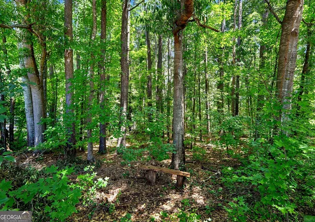 51st image of 4 White Oak Ln, Sharpsburg, GA 30277 | MLS# 10786089
