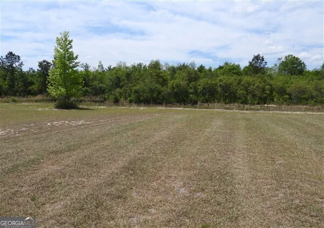25th image of 430 Summerhill Dr, Ludowici, GA 31316 | MLS# 10769187