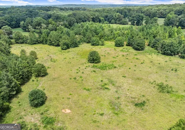 Homes for sale in Danielsville, GA | 0 Five Points Rd #TRACT 4, Danielsville, GA 30633 | MLS# 10798377
