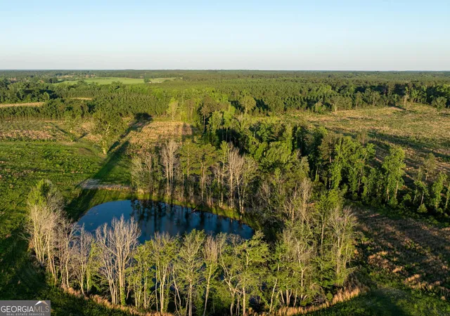 1st image of 005 Beulah Road Tract 5, Sylvania, GA 30467 | MLS# 10782482