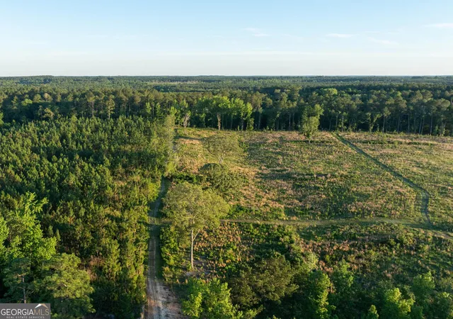 2nd image of 005 Beulah Road Tract 5, Sylvania, GA 30467 | MLS# 10782482
