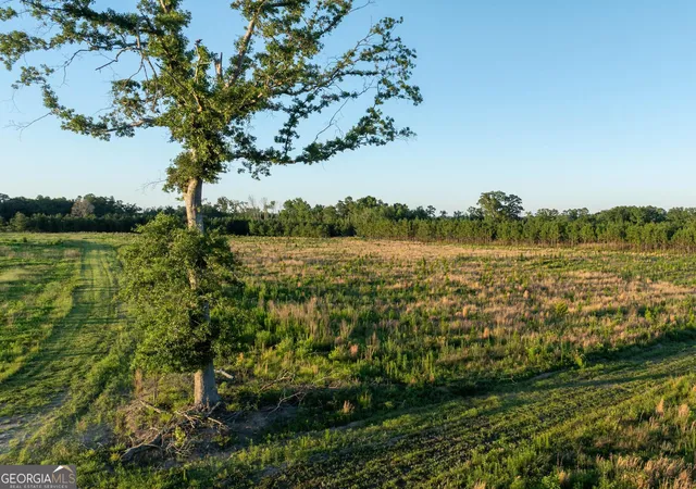 3rd image of 005 Beulah Road Tract 5, Sylvania, GA 30467 | MLS# 10782482