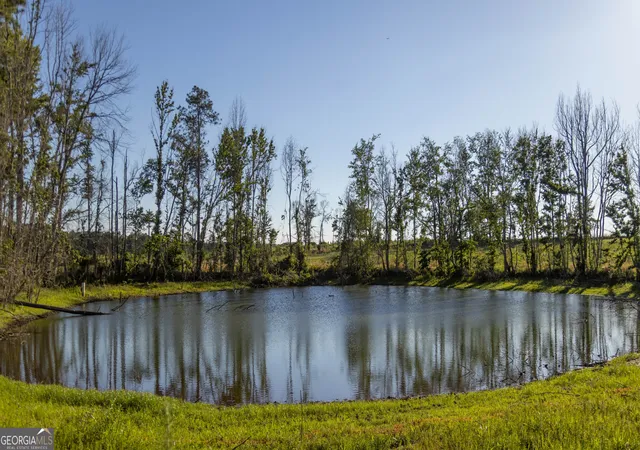 4th image of 005 Beulah Road Tract 5, Sylvania, GA 30467 | MLS# 10782482