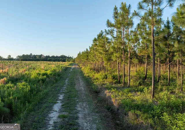 5th image of 005 Beulah Road Tract 5, Sylvania, GA 30467 | MLS# 10782482