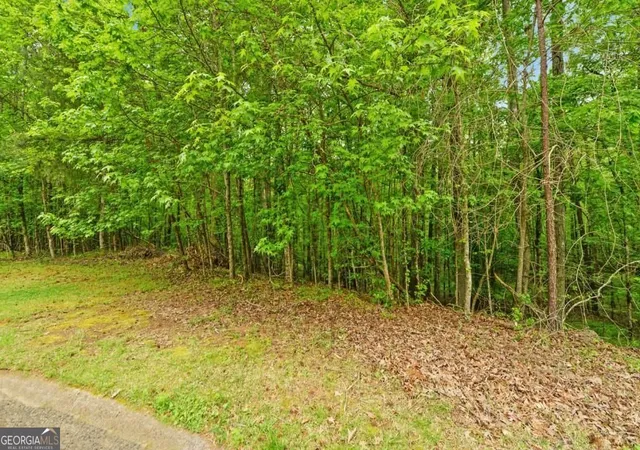 Photo 4 of Land for sale at 0 Honey Tree Ter, Dahlonega, GA 30533 | MLS# 10448792 | Listing updated on 2026-02-09