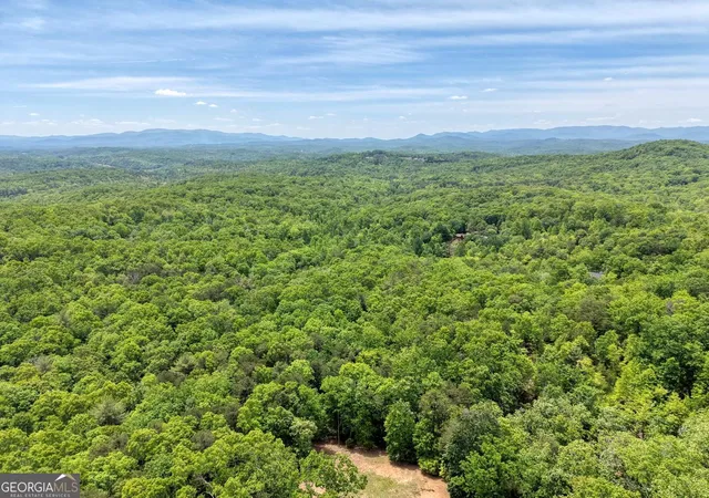 2nd image of 5730 Ac Stuart View, Mineral Bluff, GA 30559 | MLS# 10768421
