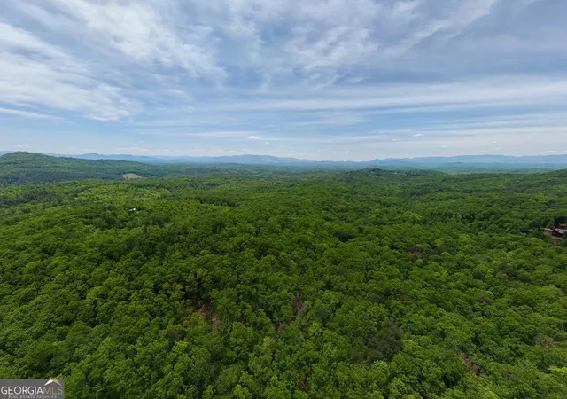 Photo 3 of Land for sale at 5730 Ac Stuart View, Mineral Bluff, GA 30559 | MLS# 10768421 | Listing updated on 2026-09-08