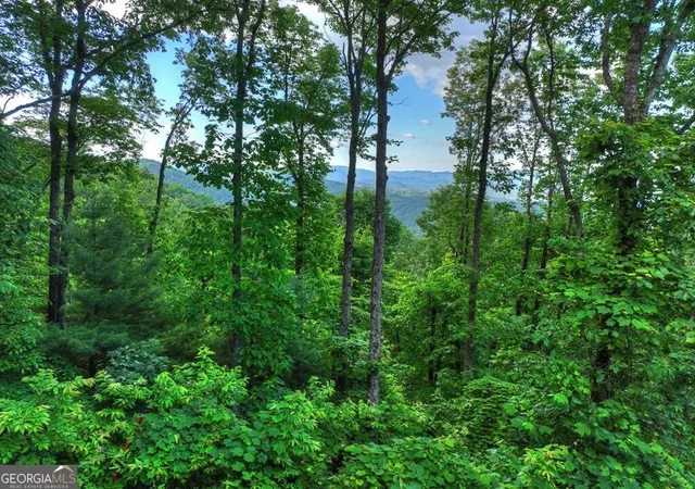 26th image of 35 Utana Bluff Trails, Ellijay, GA 30540 | MLS# 10792296
