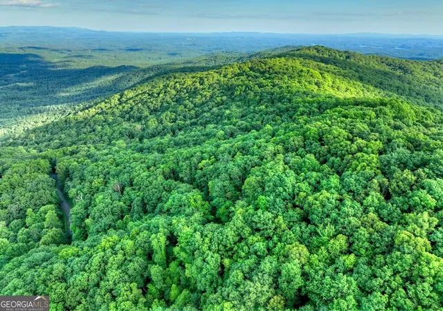 2nd image of 35 Utana Bluff Trails, Ellijay, GA 30540 | MLS# 10792296