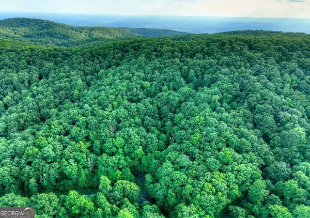Photo 4 of Land for sale at 35 Utana Blf Trails, Ellijay, GA 30540 | MLS# 10792296 | Listing updated on 2026-07-08