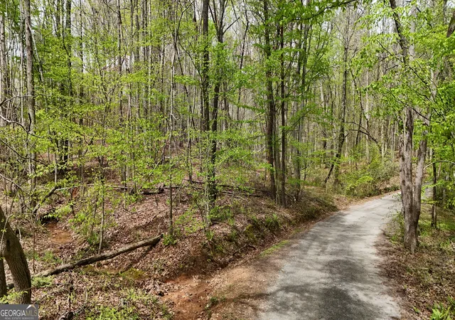 1st image of 0 Shenandoah Dr, Cleveland, GA 30528 | MLS# 10827706