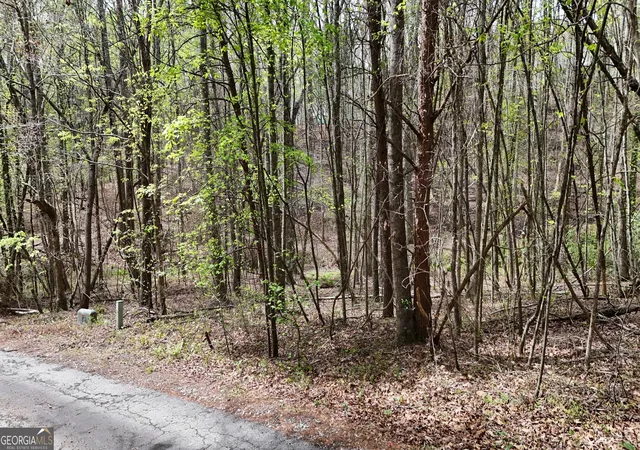 2nd image of 0 Shenandoah Dr, Cleveland, GA 30528 | MLS# 10827706