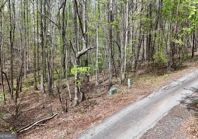 3rd image of 0 Shenandoah Dr, Cleveland, GA 30528 | MLS# 10827706