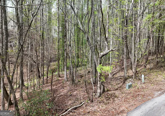 4th image of 0 Shenandoah Dr, Cleveland, GA 30528 | MLS# 10827706