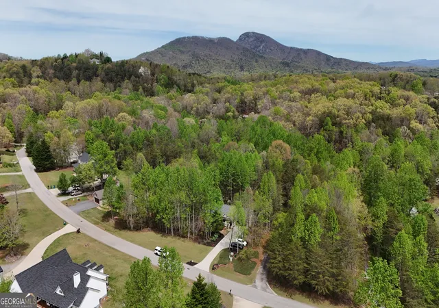 9th image of 0 Shenandoah Dr, Cleveland, GA 30528 | MLS# 10827706