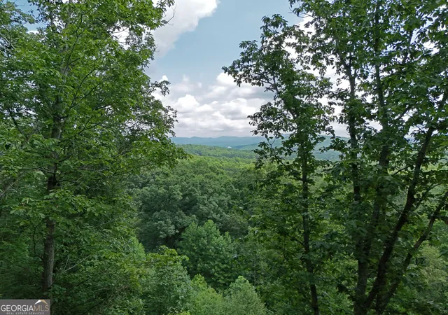 2nd image of Lot 71 Chicory Dr W, Blairsville, GA 30512 | MLS# 10801117