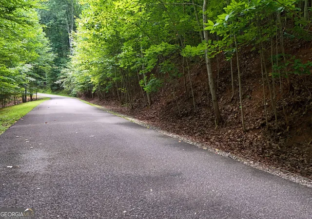 Photo 3 of Land for sale at Lot 71 Chicory Dr W, Blairsville, GA 30512 | MLS# 10801117 | Listing updated on 2026-07-22