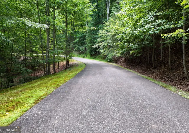Photo 4 of Land for sale at Lot 71 Chicory Dr W, Blairsville, GA 30512 | MLS# 10801117 | Listing updated on 2026-07-22
