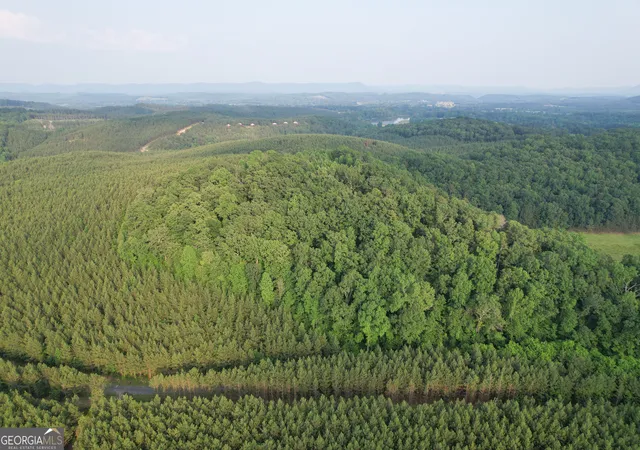 Photo 1 of Land for sale at 0 Yarborough Rd, Summerville, GA 30747 | MLS# 10826184 | Listing updated on 2026-08-28