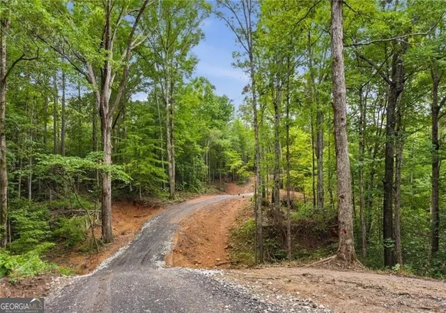Photo 1 of Land for sale at Lot 2 Pete Path, Dallas, GA 30157 | MLS# 10796062 | Listing updated on 2026-08-03