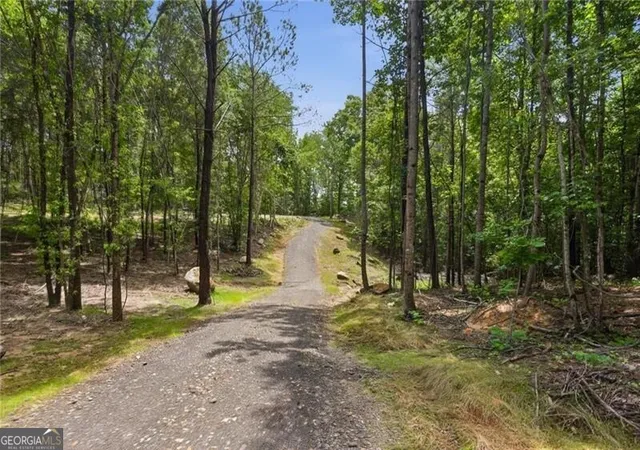 Photo 3 of Land for sale at Lot 2 Pete Path, Dallas, GA 30157 | MLS# 10796062 | Listing updated on 2026-08-03