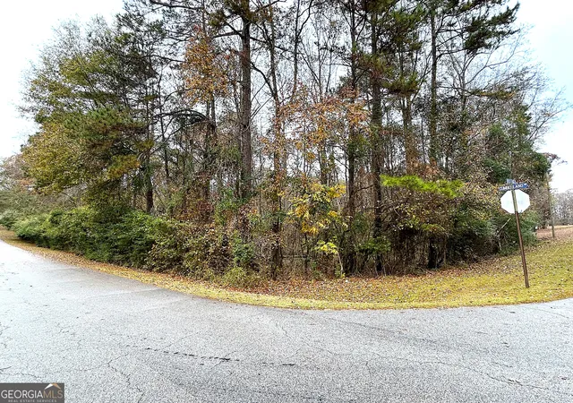 4th image of 101 Ivy Springs Dr, Lagrange, GA 30240 | MLS# 10629712