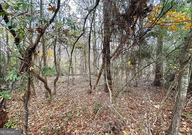 5th image of 101 Ivy Springs Dr, Lagrange, GA 30240 | MLS# 10629712