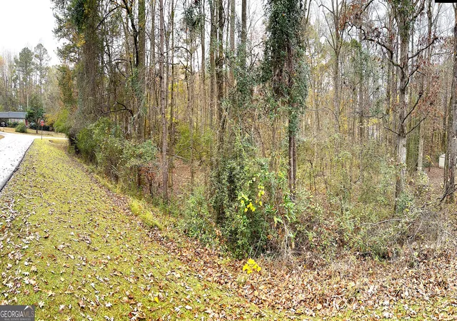 9th image of 101 Ivy Springs Dr, Lagrange, GA 30240 | MLS# 10629712