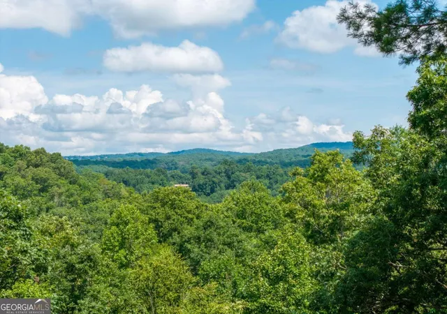 2nd image of 66 Briar Creek Ct, Morganton, GA 30560 | MLS# 10809353