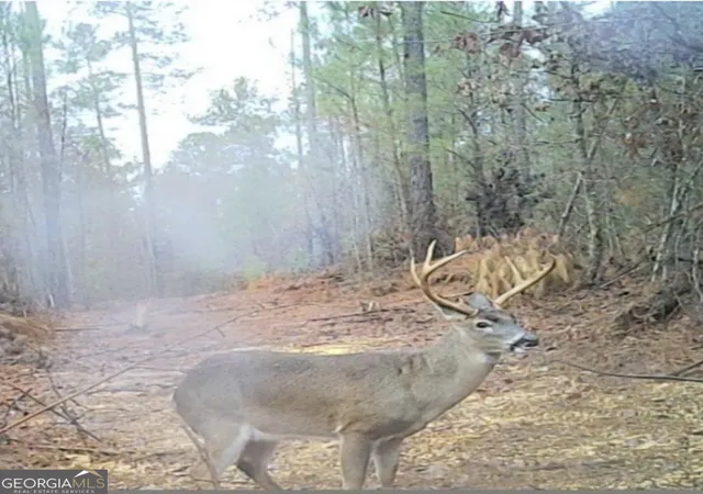2nd image of 00 John Rucker Rd, Elberton, GA 30635 | MLS# 10721723