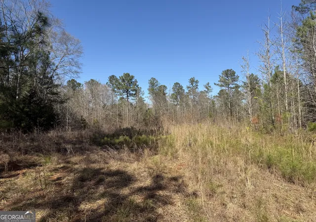 3rd image of 00 John Rucker Rd, Elberton, GA 30635 | MLS# 10721723
