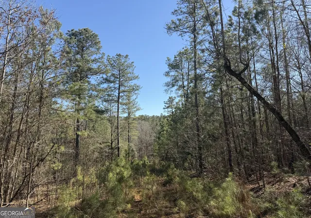 4th image of 00 John Rucker Rd, Elberton, GA 30635 | MLS# 10721723