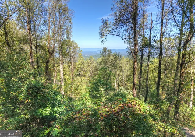 1st image of Lt 296 Andes Rdg, Ellijay, GA 30536 | MLS# 10804353