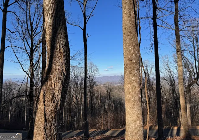 2nd image of Lt 296 Andes Rdg, Ellijay, GA 30536 | MLS# 10804353