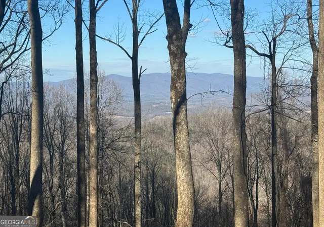 Photo 2 of Land for sale at Lt 296 Andes Ridge, Ellijay, GA 30536 | MLS# 10804353 | Listing updated on 2026-07-27