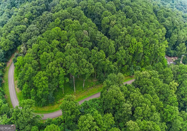 Photo 4 of Land for sale at Lt 296 Andes Ridge, Ellijay, GA 30536 | MLS# 10804353 | Listing updated on 2026-07-27
