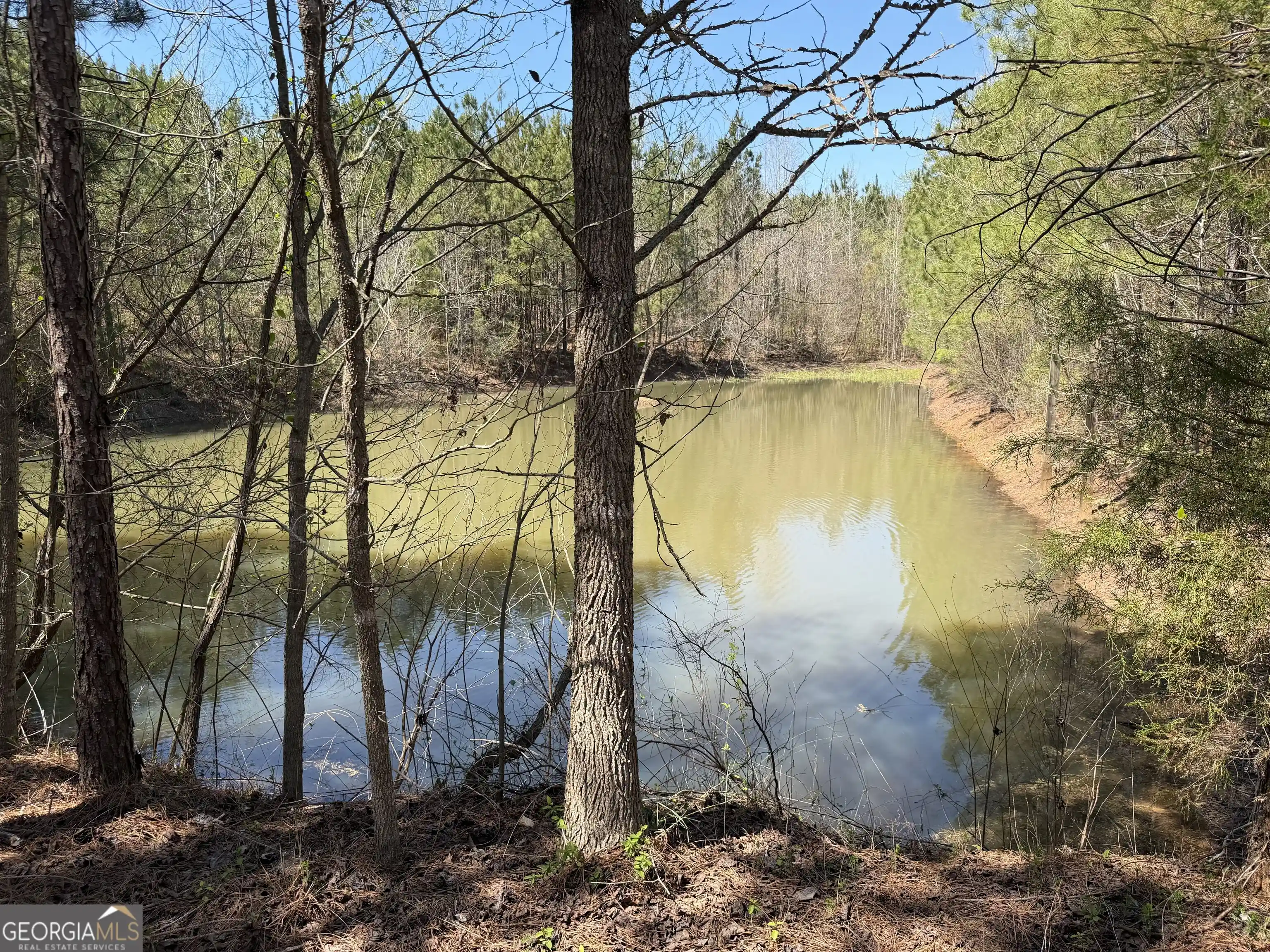 Land for sale at 0000 County Rd 79, Wadley, AL 36276 | MLS# 10871105