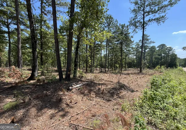 Photo 1 of Land for sale at Lot 21 Gordon Rd, Forsyth, GA 31029 | MLS# 10793878 | Listing updated on 2026-08-24