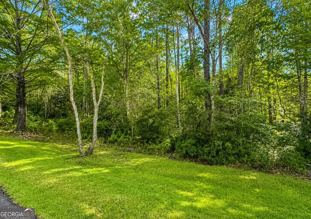 1st image of Lot 163 La Terra Ln, Waverly, GA 31565 | MLS# 10818561