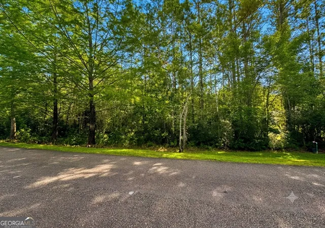 2nd image of Lot 163 La Terra Ln, Waverly, GA 31565 | MLS# 10818561
