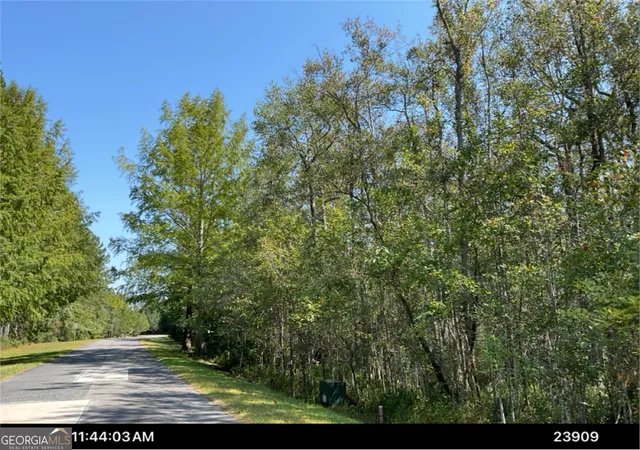 8th image of Lot 163 La Terra Ln, Waverly, GA 31565 | MLS# 10818561
