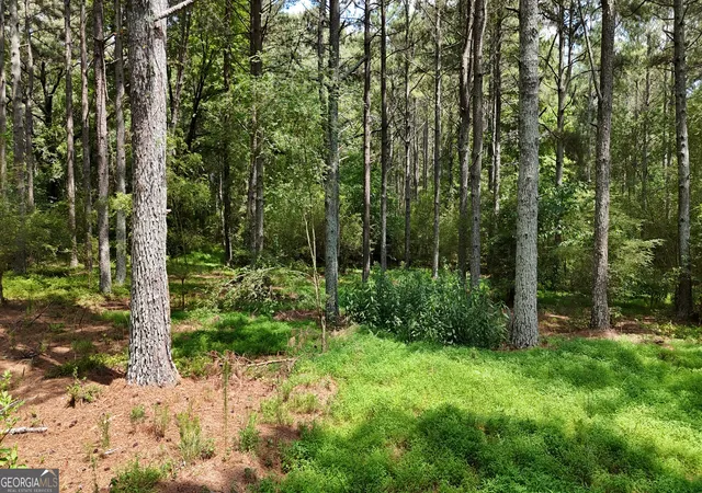 63rd image of 3729 Duncan Bridge Rd, Cornelia, GA 30531 | MLS# 10818429
