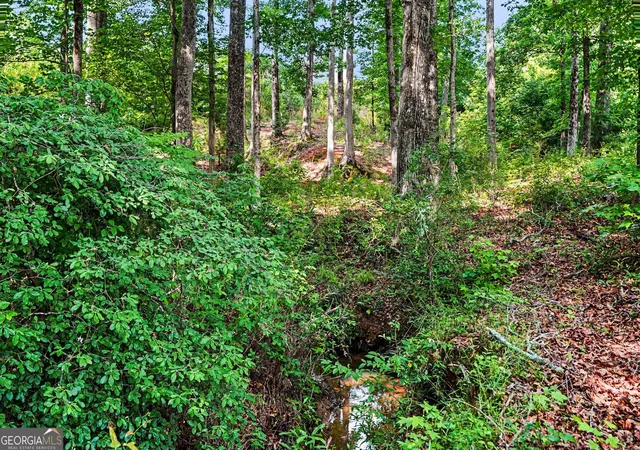 Photo 4 of Single family home for sale at 544 Moline Way, Locust Grove, GA 30248 | MLS# 10767450 | Listing updated on 2026-07-02