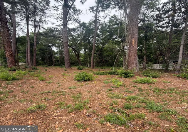 Photo 3 of Land for sale at 134 Palmera Ln, Brunswick, GA 31525 | MLS# 10755525 | Listing updated on 2026-05-15