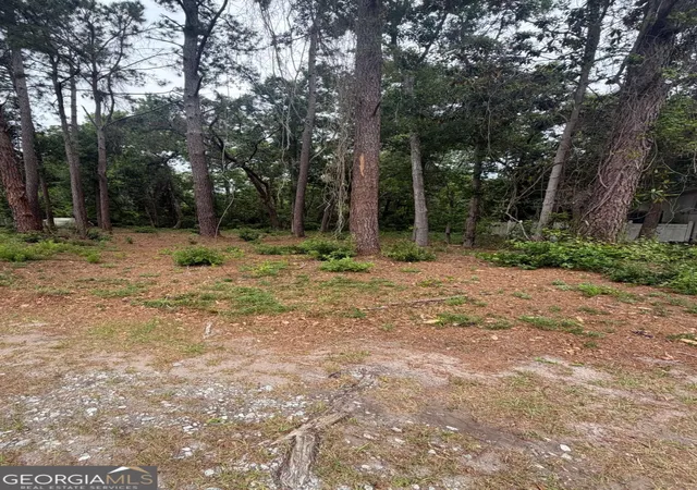Photo 3 of Land for sale at 134 Palmera Ln, Brunswick, GA 31525 | MLS# 10755525 | Listing updated on 2026-05-15